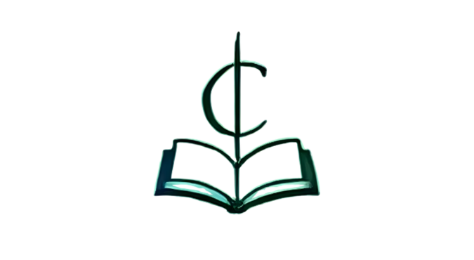 BTSS CORP logo